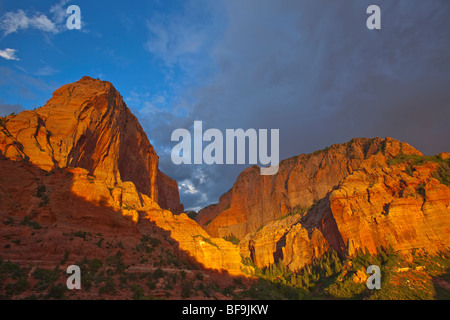 Abendlicht am Sandsteinfelsen des Kolob Canyons Bereich der Zion Nationalpark, Utah, USA Stockfoto