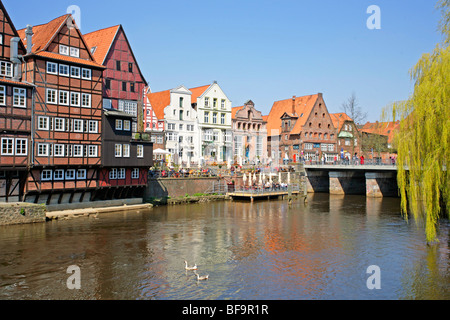 Fachwerkhäuser am Am weist in Lüneburg, Niedersachsen, Deutschland Stockfoto