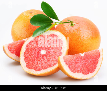 Grapefruit-Gruppe mit Blättern auf einem weißen Hintergrund. Stockfoto