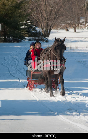 Pferd gezogenen Schlitten im Schnee Stockfoto