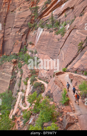 Wanderer erklimmen Serpentinen am West Rim Trail Route Angels Landing im Zion Nationalpark, Utah, USA Stockfoto