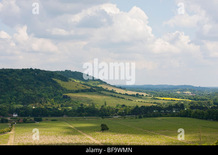 Box Hill und North Downs von Ranmore, in der Nähe von Dorking gesehen. Stockfoto