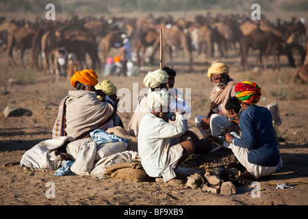 Rajput Männer auf dem Kamel Messe in Indien Pushkar Stockfoto
