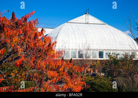 Garfield Park Conservatory Stockfoto