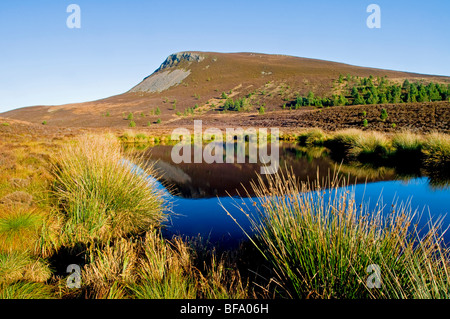 Eine kleine man auf Dava Moor in der Nähe von Grantown auf Spey mit Blick auf die Cairngorms National Park Schottland SCO 5519 Stockfoto