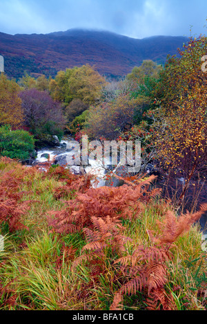 Herbst Farben, Berge und Stream in The Black Valley, Co.Kerry, Irland Stockfoto