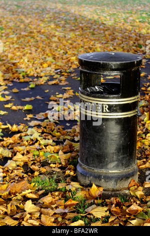 Wurf und Herbstlaub Stockfoto