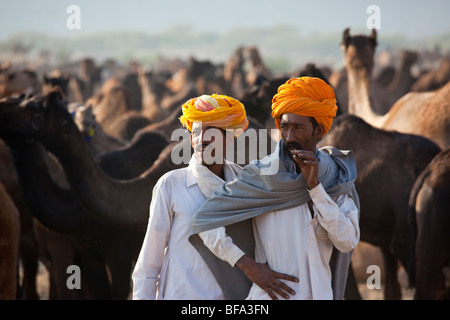 Rajput Männer und Kamele auf der Camel Fair in Pushkar Indien Stockfoto