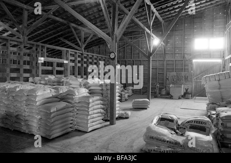 Arbeiter in Futtermühle Stockfoto