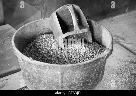 Arbeiter in Futtermühle Stockfoto
