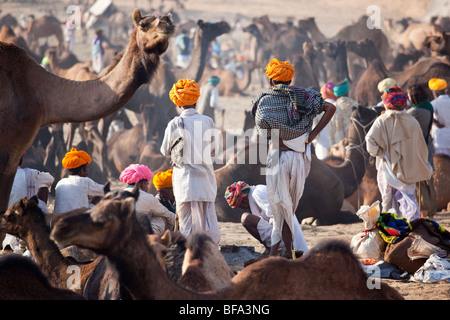 Rajput Männer und Kamele auf der Camel Fair in Pushkar Indien Stockfoto