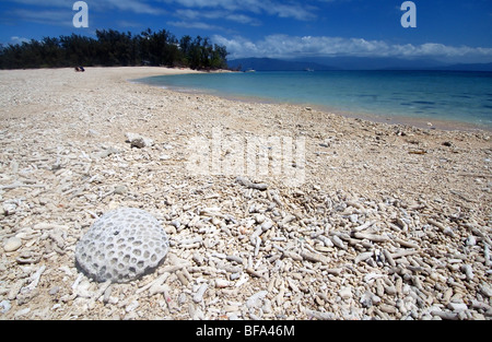 Koralle Schutt Strand auf Russell Island, Frankland Islands National Park, Great Barrier Reef Marine Park, Queensland, Australien Stockfoto