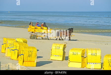 Reisen mit Pferdekutsche durch Wattenmeer von Duhnen nach Holm Neuwerk, Cuxhaven, Niedersachsen, Deutschland Stockfoto