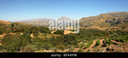 Blick über Zentralkreta, Blick nach Osten in Richtung montiert, Kedros und Psiloritis, südlich von Kato Malaki, mit einem Vinyard vor Stockfoto