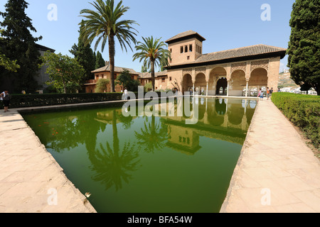 Blick über den Teich mit Goldfischen zu den Turm der Damen, die des Generalife, die Alhambra, Granada, Andalusien, Spanien Stockfoto