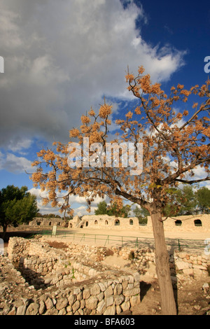 Israel, Sharon Region. Ruinen der ägyptischen Festung auf Tel Afek, gebaut in der späten Bronzezeit Stockfoto