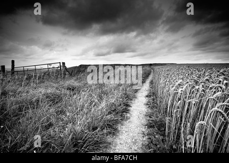 Schwarz / weiß-Blick auf die Spitze des White Horse Hill in Uffington, Oxfordshire, Vereinigtes Königreich Stockfoto