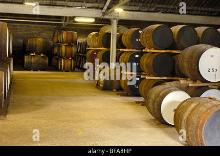 Glen Moray Whisky-Destillerie, Elgin. Moray. Aberdeenshire. Schottland. U.K. Stockfoto