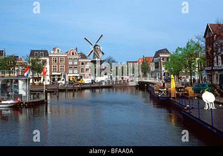 Blick über den Hafenbecken in Richtung De Valk Windmühle in Leiden, Holland Stockfoto