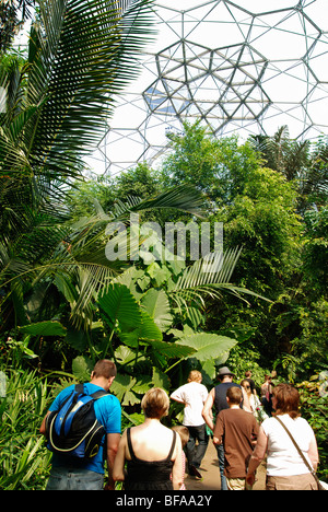 Besucher im tropischen Biom im Eden Project in Cornwall, Großbritannien Stockfoto