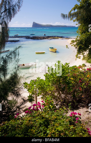 Boote in Pereybere mit Coin de Mire im Hintergrund, Mauritius Stockfoto