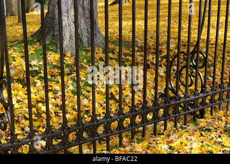 Herbstlaub und Eisen Zaun in der Innenstadt von Cooperstown, New York Stockfoto