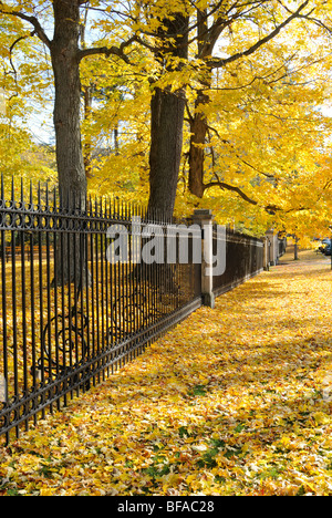 Herbstfarben in der Innenstadt von Cooperstown, New York Stockfoto