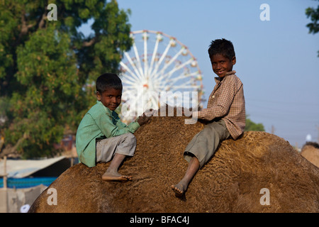 Jungs spielen auf einem Kamel auf der Camel Fair in Pushkar Indien Stockfoto