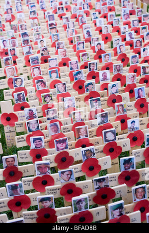 Kreuze und Mohn markieren gefallene Soldaten in Afghanistan getötet, gesehen in Erinnerung-Wochenende in der Westminster Abbey, London. Stockfoto