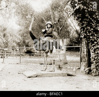 Hübsches kleines Mädchen reiten Strauß Stockfoto