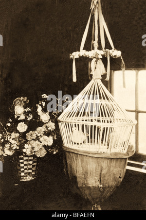 Taube in Wicker Vogelkäfig & Blumenkorb Stockfoto