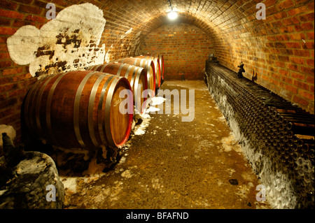 Kovacs Wein Keller Weinfässer und Flaschen (Kov Cs Borh Z) Hajos (Haj-s); Ungarn; Stockfoto