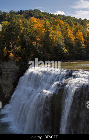 Mitte fällt im Herbst, Letchworth State Park, New York Stockfoto