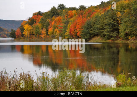 Quaker See, Allegany State Park, New York Stockfoto