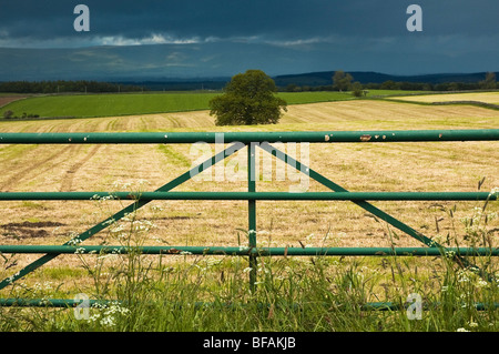 Hof und frisch geschnittenen Feldern an Askham in der Nähe von Penrith Stockfoto