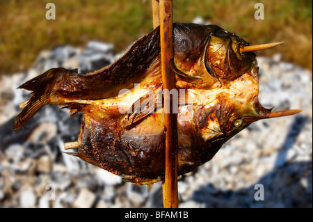 Karpfen werden auf traditionelle Weise über offene Flammen an Kaolcsa Paprika Festival Ungarn gekocht Stockfoto