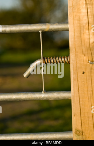 Metall Federsicherung auf ein Metalltor. Stockfoto