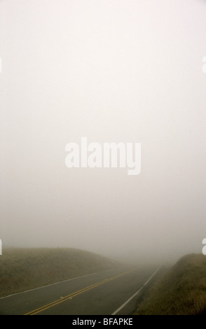 Nebel schränkt Sichtbarkeit auf einer Fahrbahn auf Mount Tamalpais im Mount Tamalpais State Park in Marin County, Kalifornien, USA. Stockfoto