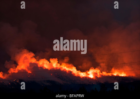 Intensive Buschfeuer auf Hügeln in der Nähe von A836 zwischen Lairg und Bonar Bridge in Schottland aufgenommen in der Abenddämmerung Stockfoto