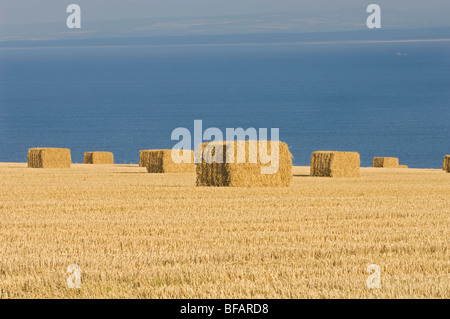 Ballen Stroh nach der Getreideernte. Über Gardenstown, Scotland, UK Stockfoto