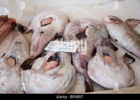 Frischer Seeteufel in indoor Fischmarkt Stockfoto