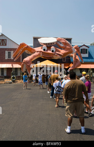 Riesige Krabbe Restaurant in Myrtle Beach, South Carolina, Vereinigte Staaten von Amerika Stockfoto