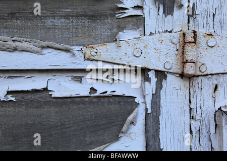 Abblätternde Farbe auf ein altes Scheunentor Scharnier Stockfoto