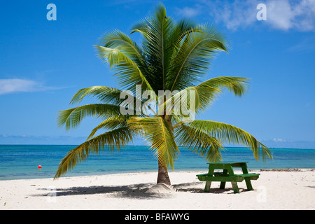 Pigeon Point Beach in Tobago Stockfoto