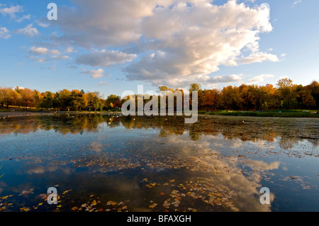 Bibers Lake Mont Royal Park, Montreal, Kanada Stockfoto