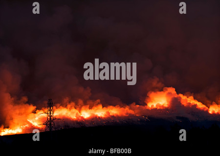 Intensive Buschfeuer auf Hügeln in der Nähe von A836 zwischen Lairg und Bonar Bridge in Schottland aufgenommen in der Abenddämmerung Stockfoto