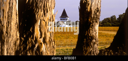 Mitchelton Winery, Victoria Australien Stockfoto