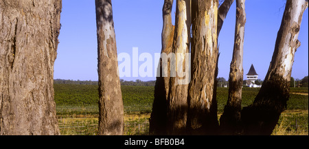 Mitchelton Winery, Victoria Australien Stockfoto