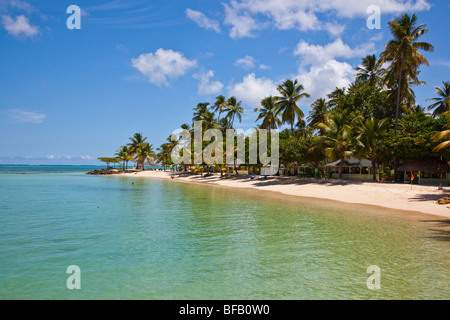 Pigeon Point Beach in Tobago Stockfoto