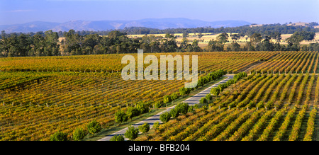 Mitchelton Winery, Victoria Australien Stockfoto